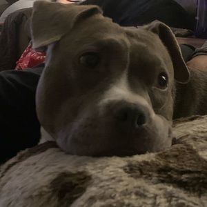 Meet your Posher, Brad